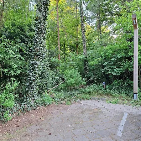 Boshuisje Het Bosnest - De Specht Met Privetuin Op Hoefbos Veluwe * Otterlo