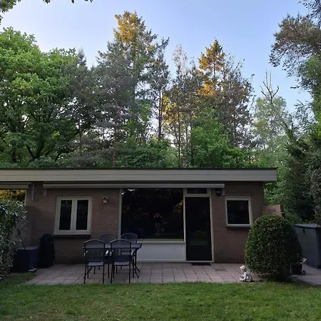 Boshuisje Het Bosnest - De Specht Met Privetuin Op Hoefbos Veluwe