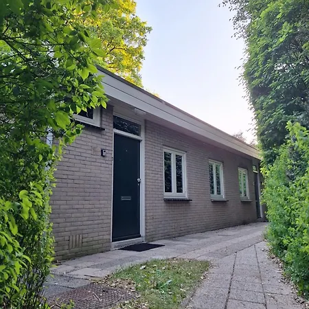 Boshuisje Het Bosnest - De Specht Met Privétuin Op Hoefbos Veluwe