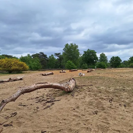 Bosnest De Specht, Knus Boshuisje Met Privetuin In Nabij Veluwepark בית נופש