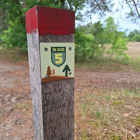 Vakantiehuis Boshuisje Het Bosnest - De Specht Met Privétuin Op Hoefbos Veluwe