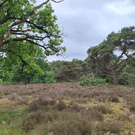 Bosnest De Specht, Knus Boshuisje Met Privetuin In Nabij Veluwepark בית נופש