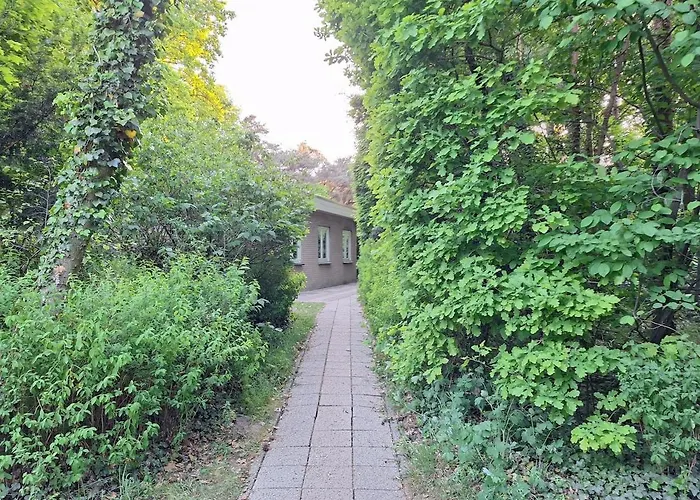 Holiday home Bosnest De Specht, Knus Boshuisje Met Privetuin In Nabij Veluwepark