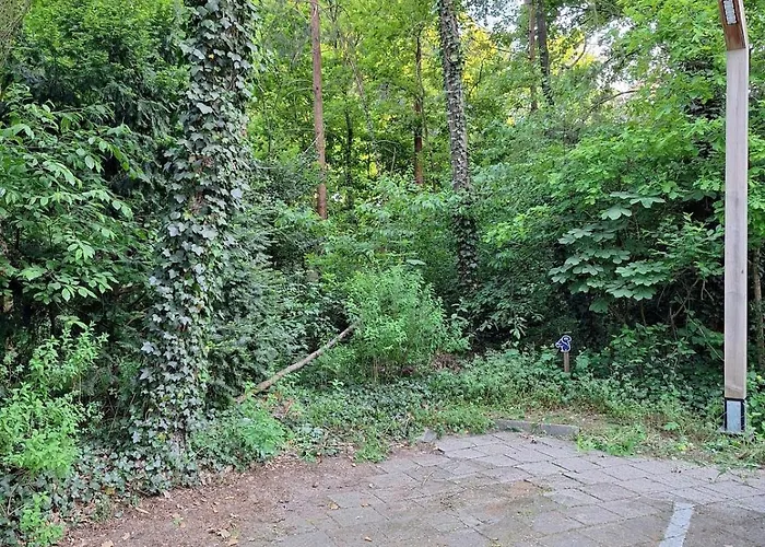 Bosnest De Specht, Knus Boshuisje Met Privetuin In Nabij Veluwepark * Otterlo