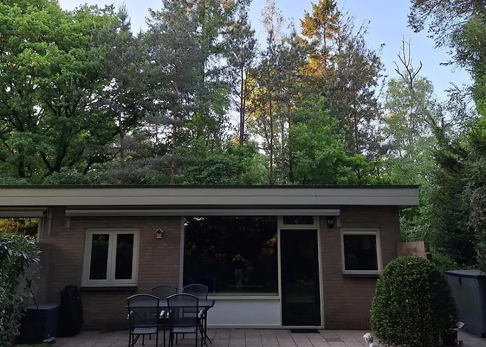 Bosnest De Specht, Knus Boshuisje Met Privetuin In Nabij Veluwepark