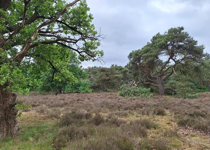 Bosnest De Specht, Knus Boshuisje Met Privetuin In Nabij Veluwepark Holiday home