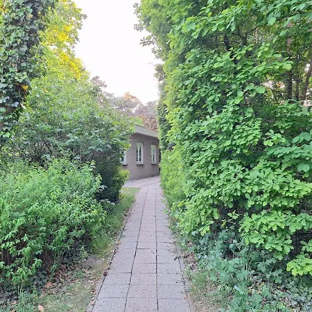 Сasa de vacaciones Bosnest De Specht, Knus Boshuisje Met Privetuin In Nabij Veluwepark