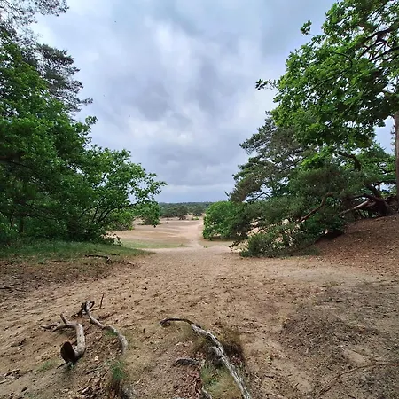 Tatil Evi Bosnest De Specht, Knus Boshuisje Met Privetuin In Nabij Veluwepark Otterlo