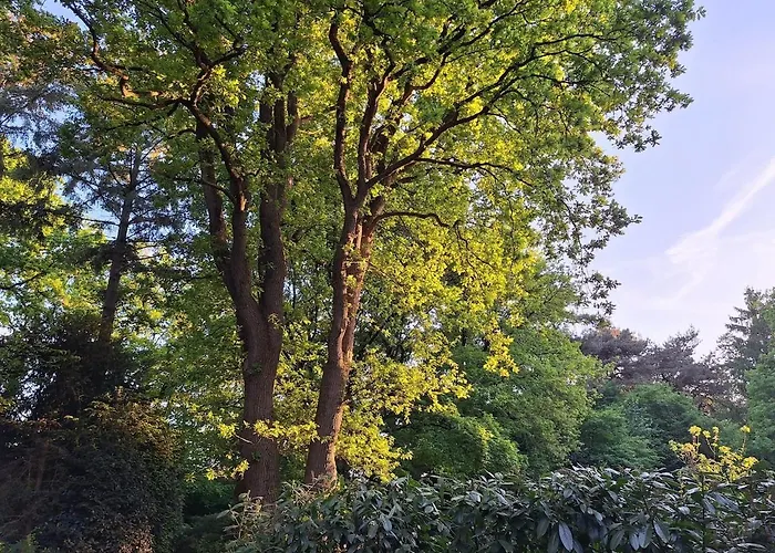 Bosnest De Specht, Knus Boshuisje Met Privetuin In Nabij Veluwepark