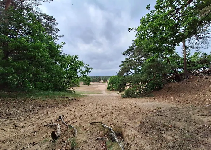 Tatil Evi Bosnest De Specht, Knus Boshuisje Met Privetuin In Nabij Veluwepark Otterlo