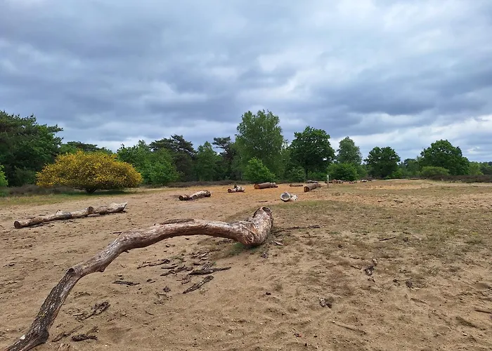 Bosnest De Specht, Knus Boshuisje Met Privetuin In Nabij Veluwepark Tatil Evi