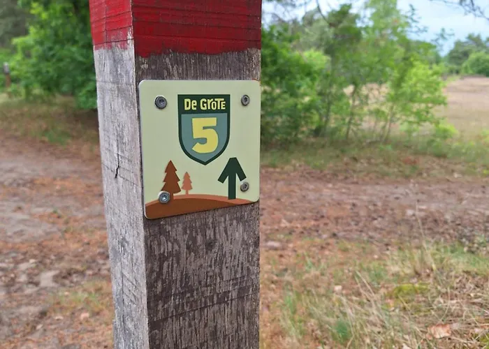 Tatil Evi Bosnest De Specht, Knus Boshuisje Met Privetuin In Nabij Veluwepark